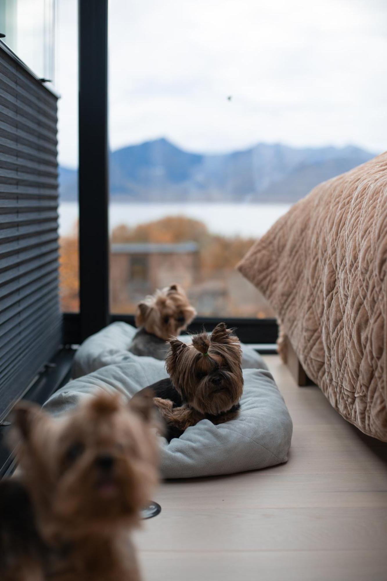 Wonderinn Arctic Utstrand ภายนอก รูปภาพ